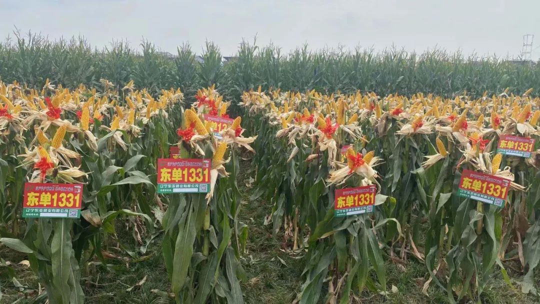 1660551244.jpg 1660551244.jpg